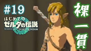 【＃１９】祠やりながら雑談配信！～はじめてのゼルダの伝説ティアーズオブザキングダム