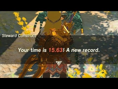 1st Courage Island Speedrun (15.63s) - Tears of the Kingdom