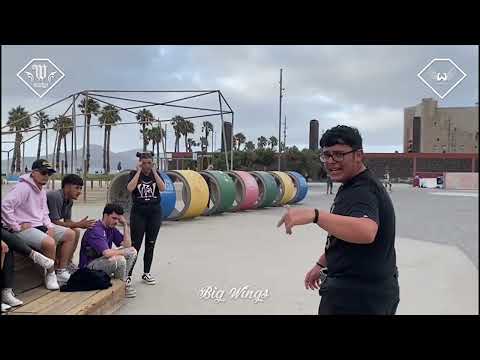 GEINSU & LIPHE | SEMIS BDC CANARIAS