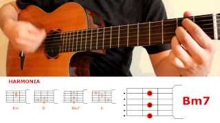 CAN´T STOP Red Hot Chilli Peppers