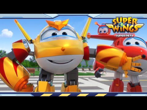 Witness21 Editor  2022 03 26