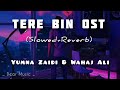 Tere Bin Ost (Slowed + Reverb) | Yumna Zaidi, Wahaj Ali | Dear MUSIC