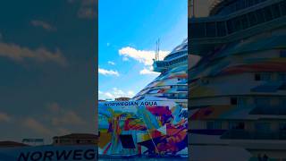 Norwegian Aqua 🛳️  #share #comment #subscribe #cruiseship #cruise #vacation #shorts #short #fun #yt