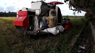 preview picture of video 'mesin pemanen padi (Comby kubota)'