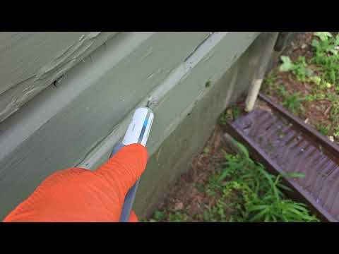 Taking Care of the Ants Outside of the Home in Cream Ridge, NJ