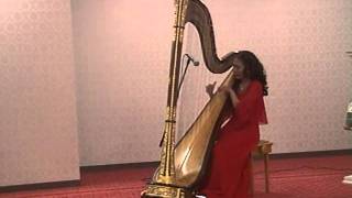 Love theme from the Godfather~harpist Erika
