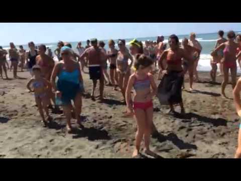 Lido del finanziere zumba 2014 27 luglio
