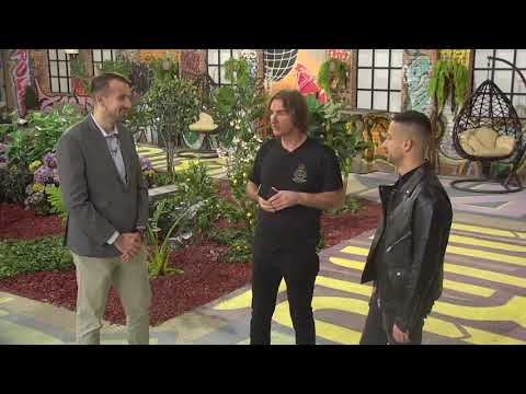 #PrviBendSrbije Željko Mitrović - obilazak Insta Grada #InstaTVSrbija 28.10.2022.