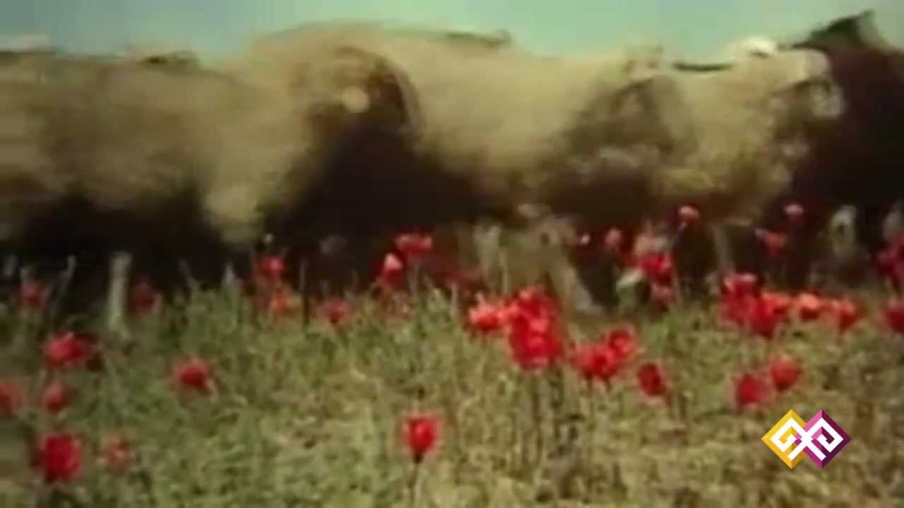 Фильм "Молитва Лейлы" - 21.06.15