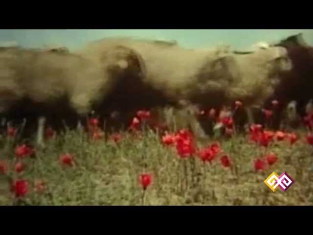 Фильм "Молитва Лейлы" - 21.06.15