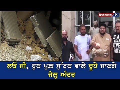 ਲਓ ਜੀ, ਹੁਣ ਪੁਲ਼ ਸੁੱਟਣ ਵਾਲੇ Mouse ਜਾਣਗੇ ਜੇਲ੍ਹ ਅੰਦਰ