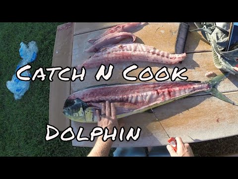 Dolphin Catch, Clean, and Cook | Mahi-Mahi | Dorado