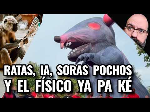 «Juegos de un Botón 5 en 1 Vol. 8 Añade Cinco Desafíos Más a Xbox y PC»