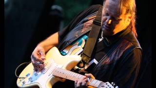 Walter Trout - Time For Moving On