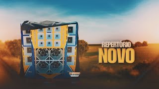 REYNALDO JHUNNIOR FORRÓZIN  2026 PRA PAREDÃO ATUALIZADO 2026