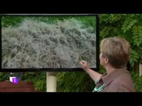 Marianne Jäger - Gespinste