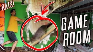 RATS RUINED MY GAME ROOM - MY NEW GAME ROOM and ARCADE!