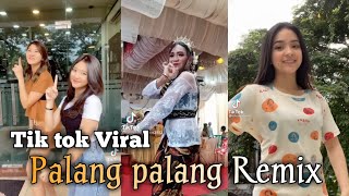 Download lagu Tik tok Viral | Palang - palang Remix mp3