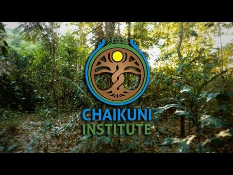 Ayni, Regenerative Food Forest in the Amazon