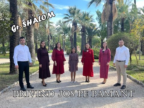 Privind jos pe pământ | Grupul SHALOM