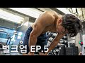 일반식 먹으면서 복근 유지되면서 벌크업 되는 운동법?! l 벌크업 EP.5