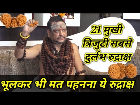 21 Mukhi Trijuti Rarest Rudraksha. World's most expensive rare Rudraksha #haridwar