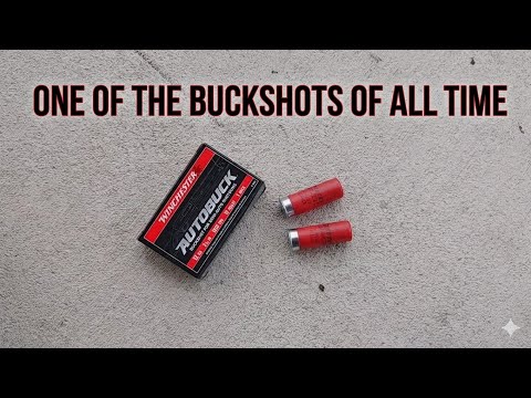 Winchester AutoBuck - Why? 