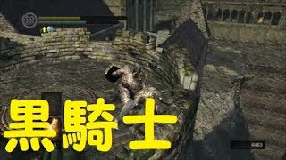 【ダクソ】パート２２「２周目でもボコられる男」【ダークソウルリマスター】