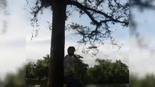 Download lagu mardalan do sapata mp3 Download lagu mardalan do sapata mp3