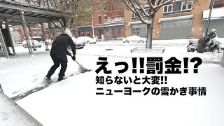 [海外] えっ!! 罰金!? 知らないと大変!! ニューヨークの雪かき事情 #海外生活 #ニューヨーク #旅