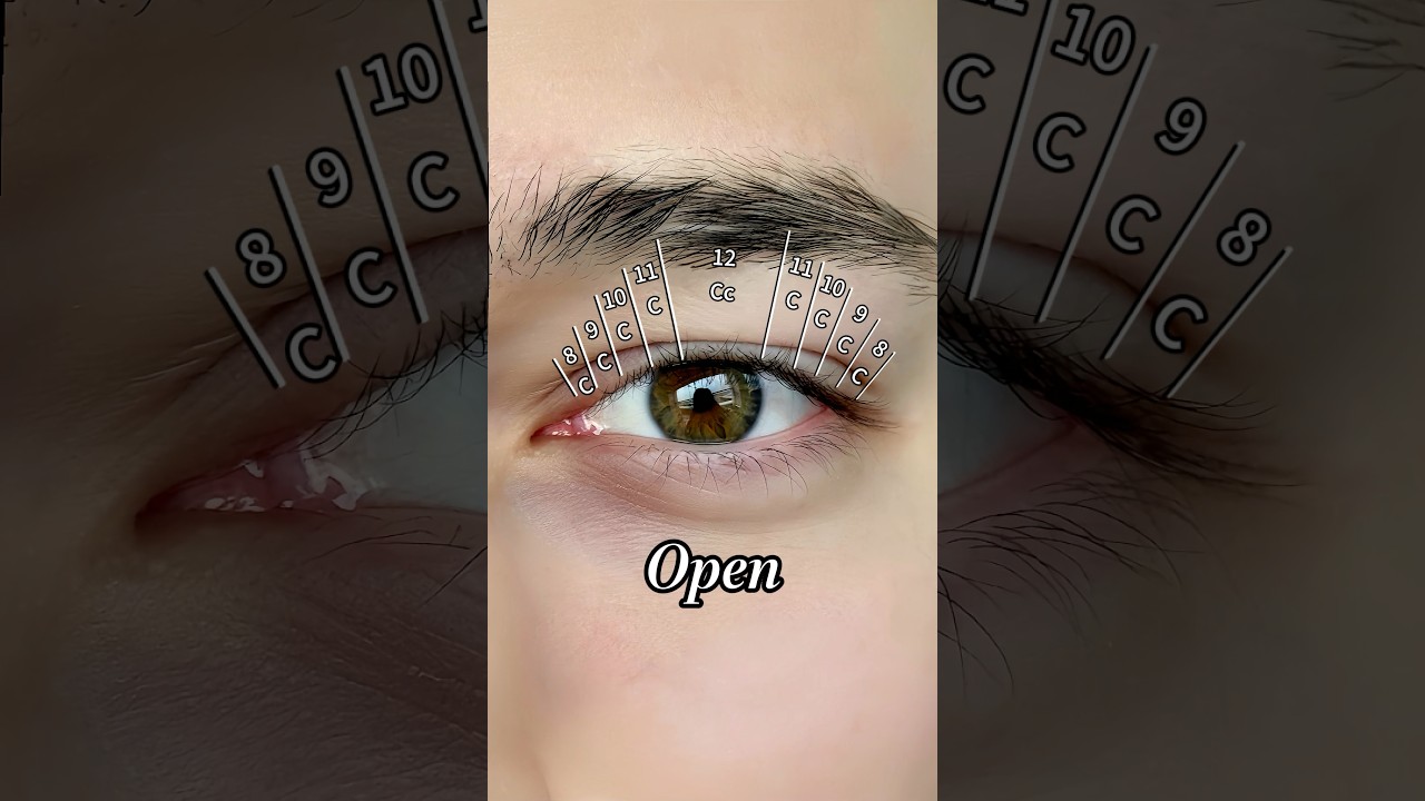 5 Most Trending Lash Maps And Their Effect! 👁️✨