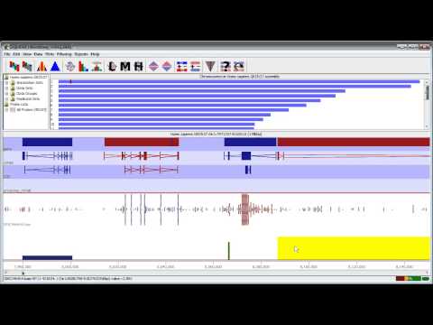Identifying antisense transcription with seqmonk