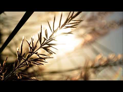 ENAKEI  - Wanderers (Nightblure Remix)