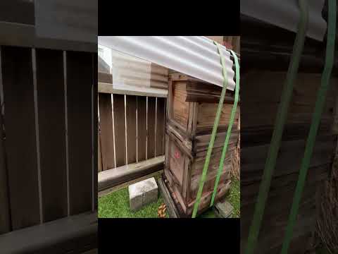 商学科 日工大駒場ショートムービー