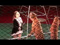 Circus. Tigers and lions. part 1. Цирк. Тигры и львы. 1 часть ...