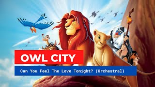 Owl City - Can You Feel The Love Tonight (Orchestral Remix)