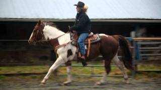 Good horses to ride video.M2TS