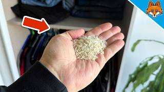 Almost EVERYONE puts Rice in their Closet💥(THIS is why)🤯
