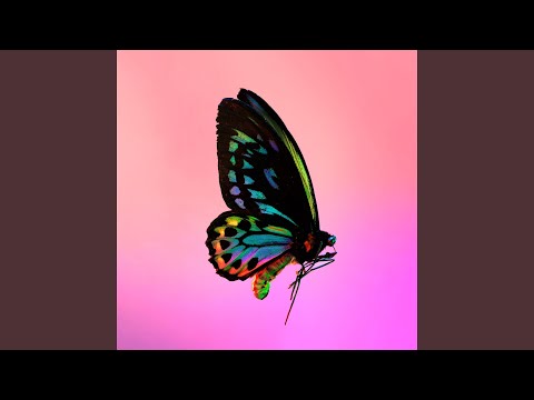 Video thumbnail for Set Me Free