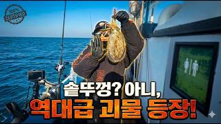 지금 제주도 가면 이런 게 나옵니다! 갑오징어 시즌 정점😎 | 트리플피싱 이벤트 | 서귀포항 어신호 🛥️