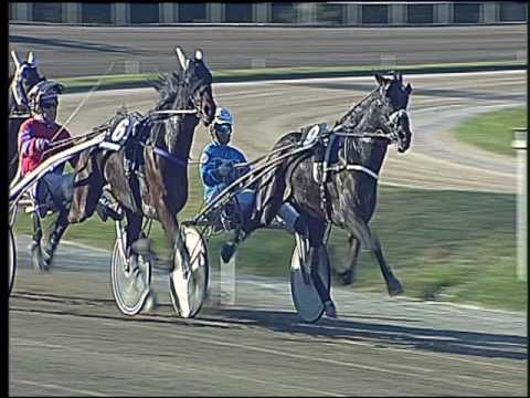 Trotto 30/10/2016 - 3ª corsa