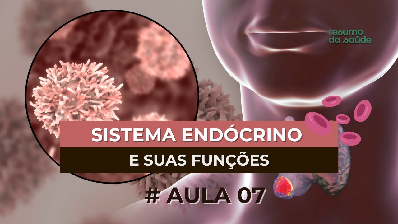 #Aula 07: Sistema Endócrino e Suas Funções