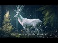 Magical Mysterious Forest | Calming The Mind, Soaring, Soothing with Flute Magical Sound