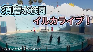 須磨海浜水族園 イルカショー 2020 クリスマスVer