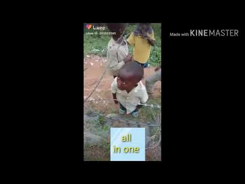 Donkest Indian Mems / Try Not To Lough Chelling