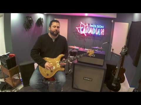 Hand Built Amplifiers: Savage Krieg 125 part 2