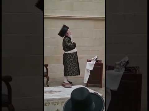 Chanukah 5783 With Premishlan Rebbe