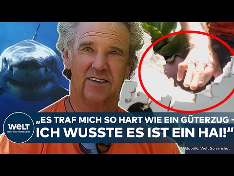 HAIATTACKE IN AUSTRALIEN: Surfer Andy McDonald überlebt Angriff – Klimawandel als Risikofaktor!