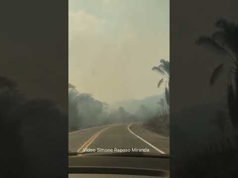 Fogo na estrada da Serra do Tepequém, no Amajari, Norte de Roraima