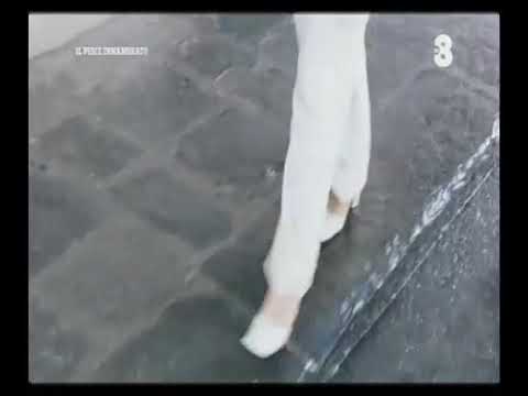 Il Pesce innamorato - Facciamo il botto.!!